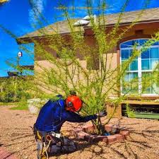 The Best 10 Landscaping In El Paso Tx
