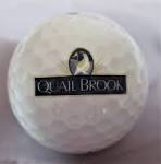 Quail Brook Golf Course - Somerset, NJ- Logo Golf Ball | eBay
