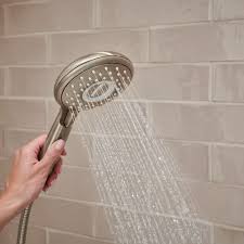 hand shower rail system with filter