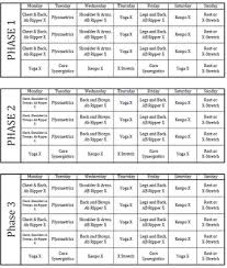 The Symphony Of Life P90x 90 Day Schedule