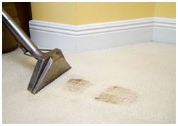 review all seasons carpet cleaning