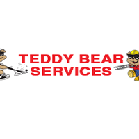 teddy bear services laundry service