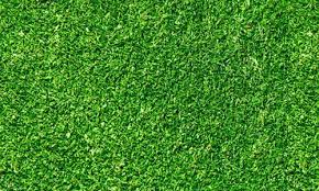 Absolutely Free Seamless Grass Textures