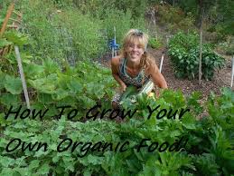 Grow A Fully Organic Vegetable Garden