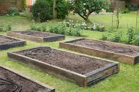 8 Best Raised Garden Bed Materials 5