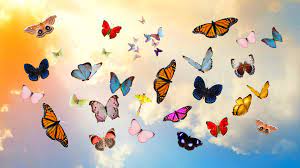 Aesthetic Butterfly Desktop Wallpapers ...