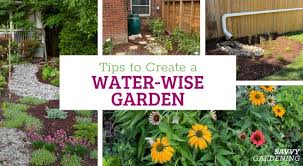 Tips To Create A Water Wise Garden