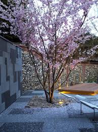 Read on to hear his ideas for creating the japanese look at home. Modern Japanese Garden Design Mylandscapes Garden Designers London Uk