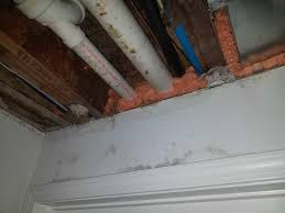 Green mold is it dangerous and how to ceiling mold growth learn the cause mold on bathroom ceiling 11 to get rid of basement mold 2021 mold remediation. Mold Solutions By Cowleys Our Mold Removal Services Before And After Photos Page 8