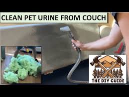 how to clean dog or cat urine from