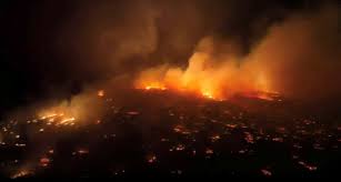 hawaii wildfires kill 36 as apocalypse