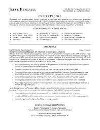 Human Resources Professional Resume Airexpresscarrier Com