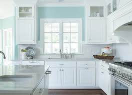 Turquoise Kitchen Walls Transitional