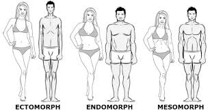 They give insight not just into the tendencies of our bodies, but of our mental, emotional, and behavioral characteristics, as well. How To Find Out My Body Type Quora