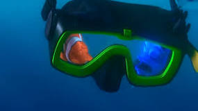 what-is-written-on-the-scuba-mask-in-finding-nemo