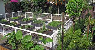 The Top 25 Raised Garden Bed Plans