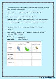 Klasyfikacja organizmów, bakterie i wirusy, protisty- Powtórzenie  -Biologia- worksheet