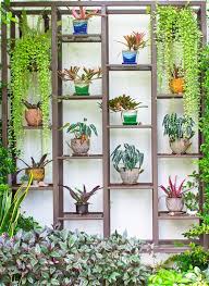 plants in pots decorate steel shelf