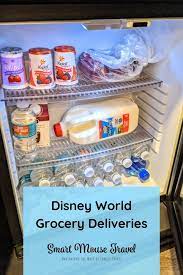 disney world grocery delivery services