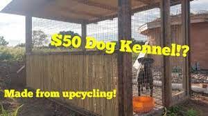 how to build a dog kennel for under 50