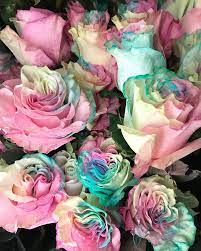 Check spelling or type a new query. Pastel Tie Dye Roses Are Back In City Line Florist Facebook