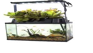 best self cleaning fish tanks 101