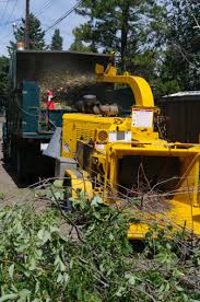 preventing wood chipper fatalities