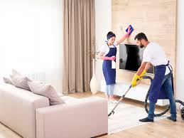 professional home cleaning service