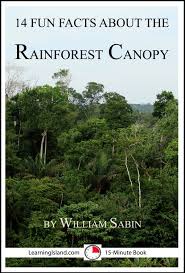 the rainforest canopy ebook