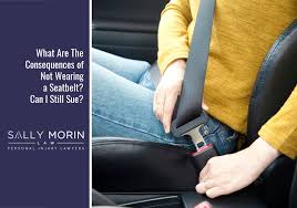 seatbelt ignorance