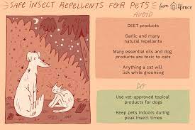 safe mosquito and insect repellent for dogs