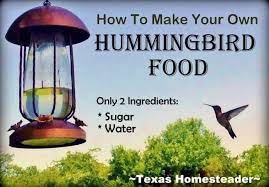 2 ing homemade hummingbird food