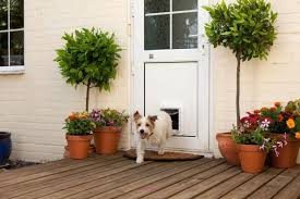 The Best Dog Door Ideas 2022