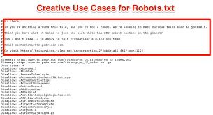 robots txt will break your rankings