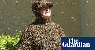 Within moments, the entity of swarm was reborn. Don T Panic How To Escape A Swarm Of Bees Bees The Guardian