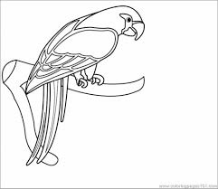 They attracted the pirates because of their colorful feathers. Scarlet Macaw Coloring Page Coloringbay