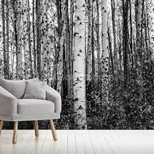 Monochrome Birch Trees Wallpaper