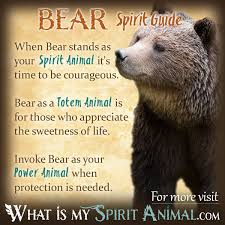 bear symbolism meaning spirit