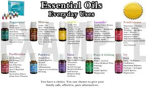 Everyday Oils Essential Oil Chart Essential Oils