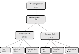 Sap Co Organizational Structure Tutorial Free Sap Co Training