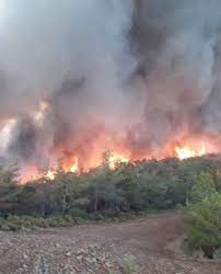 Marmaris'te orman yangını: 'Rüzgar oldukça şiddetli' - Son dakika haberleri  – Sözcü