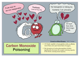 carbon monoxide co poisoning the