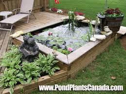 Garden Pond Right Off Your Patio Deck