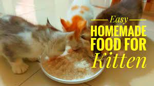 easy homemade cat food