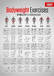 bodyweight exercises chart