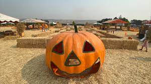We did not find results for: Spina Farms Pumpkin Patch Reopening Brings Normalcy Back To Halloween Season In San Jose Amid Covid 19 Pandemic Abc7 San Francisco