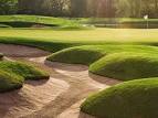 Make the most of summer and play golf at the beautiful Coollattin ...