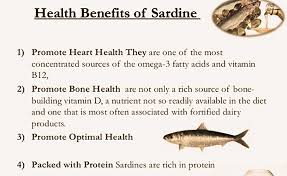 sardines source of vitamin b12