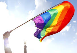 A pride flag typically refers to any flag that represents a segment or part of the lgbt community. Menn Stjal Pride Flagg Og Kom Med Homofiendtlige Tilrop I Oslo Resett