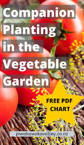 Companion Planting Chart Free Pdf